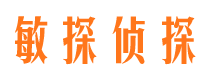 农安市调查公司